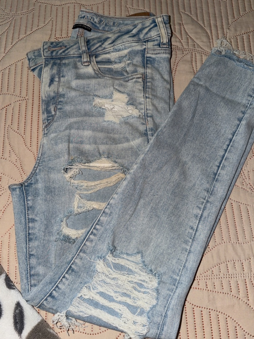 American Eagle Outfitters Light Blue Distressed Skinny Jeans